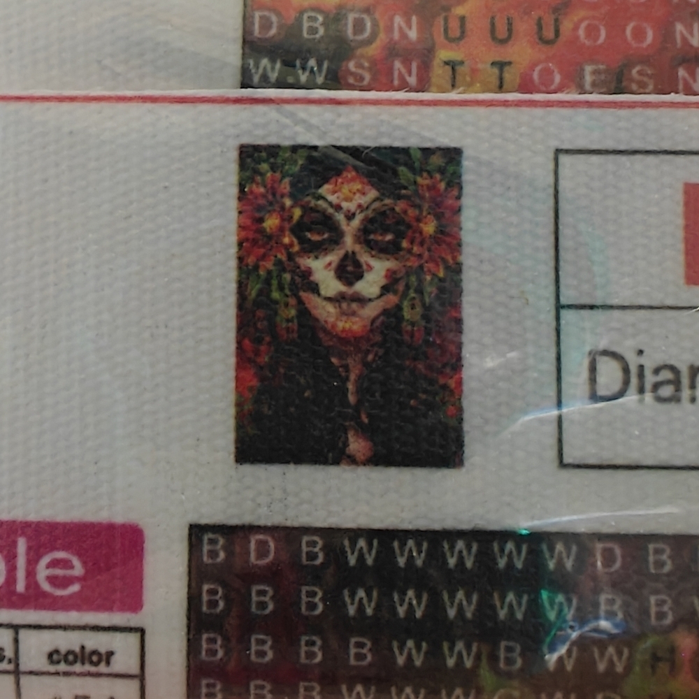 NWT SUGAR SKULL DIAMOND PAINTING